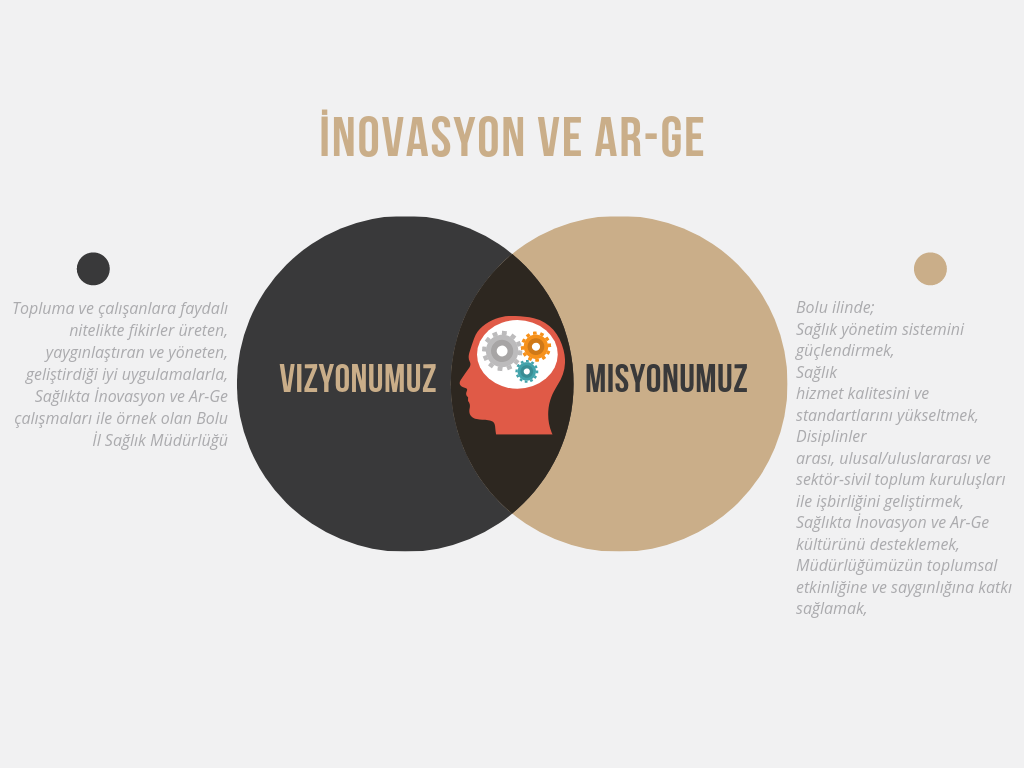 Vision Mission Venn Diagram.png